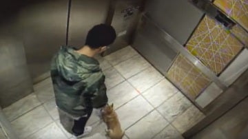 Un joven da una paliza a su cachorro de diez meses