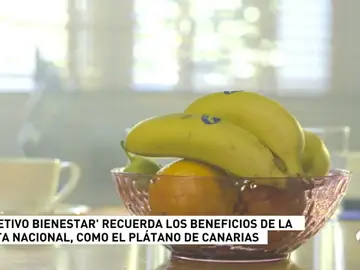 PLATANO PLATANO