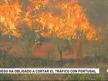 INCENDIO ZAMORA INCENDIO ZAMORA