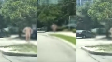 Un hombre atraca un banco y huye desnudo en Florida