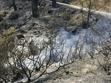 Incendio en Yeste Incendio en Yeste