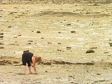 Los turistas furtivos suponen un problema para las marisqueras gallegas, que pueden perder hasta 1.000 euros al día Los turistas furtivos suponen un problema para las marisqueras gallegas, que pueden perder hasta 1.000 euros al día