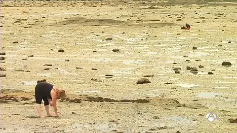 Los turistas furtivos suponen un problema para las marisqueras gallegas, que pueden perder hasta 1.000 euros al día Los turistas furtivos suponen un problema para las marisqueras gallegas, que pueden perder hasta 1.000 euros al día