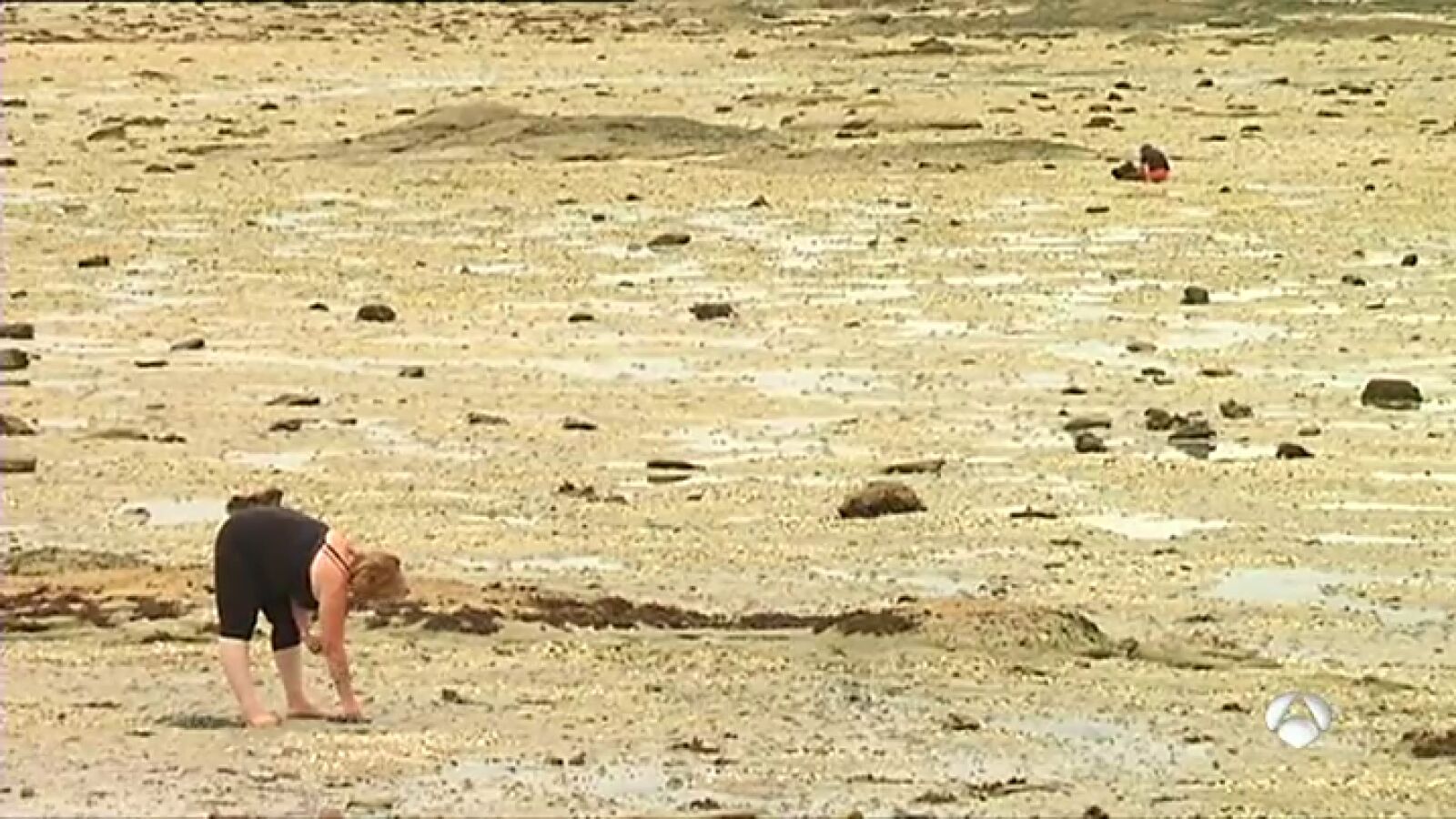 Los turistas furtivos suponen un problema para las marisqueras gallegas, que pueden perder hasta 1.000 euros al día