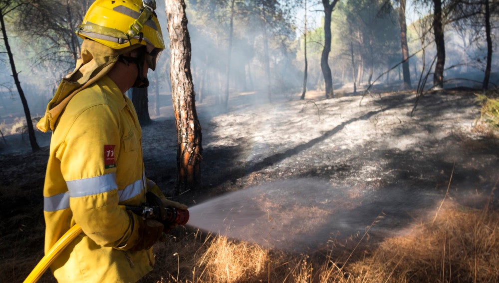 Estabilizado el incendio forestal que afecta a Guadalcanal (Sevilla)