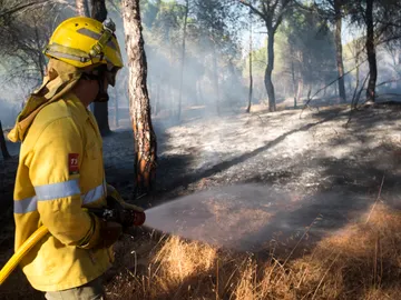 Estabilizado el incendio forestal que afecta a Guadalcanal (Sevilla) Estabilizado el incendio forestal que afecta a Guadalcanal (Sevilla)