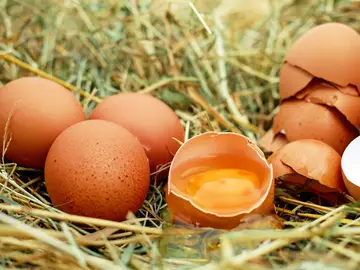Huevos, imagen de archivo Huevos, imagen de archivo