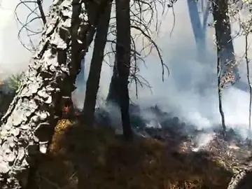 En los primeros 7 meses se registran 8.787 incendios y 62.762 hectáreas calcinadas En los primeros 7 meses se registran 8.787 incendios y 62.762 hectáreas calcinadas