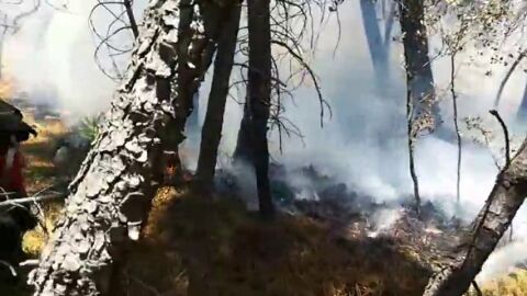 En los primeros 7 meses se registran 8.787 incendios y 62.762 hect&aacute;reas calcinadas