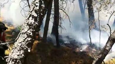 Se registran 8.787 incendios y 62.762 hectáreas calcinadas en lo que va de año