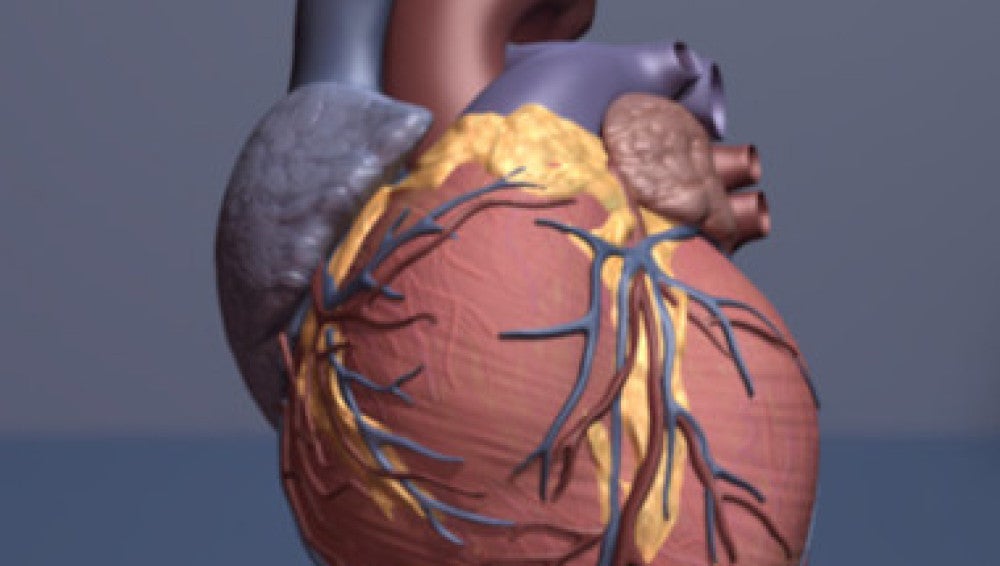 Corazón