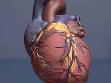 Corazón Corazón