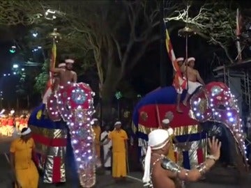 Colorido desfile de elefantes en Sri Lanka