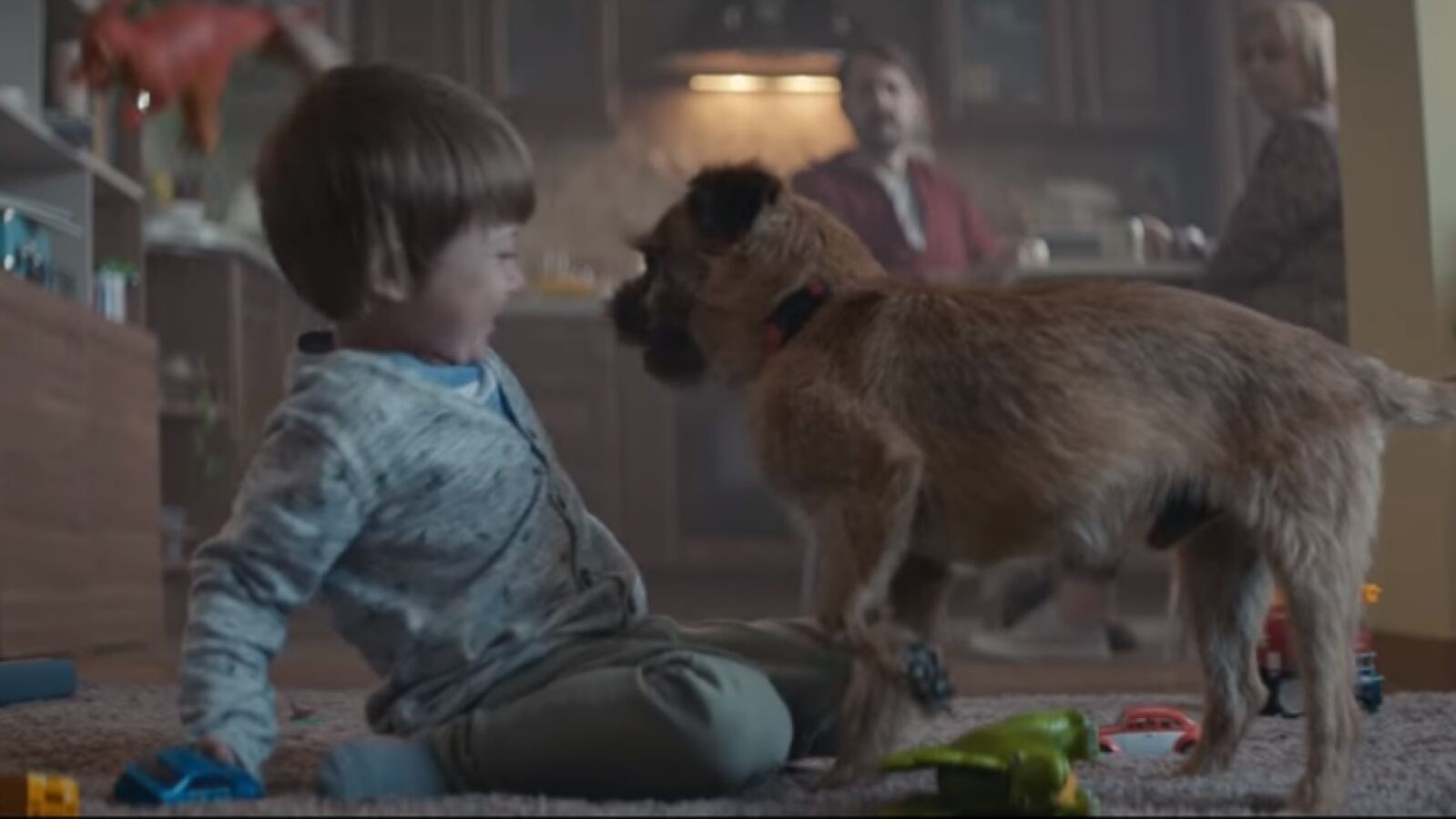 El anuncio viral que te convencerá para que no abandones a tu perro en verano