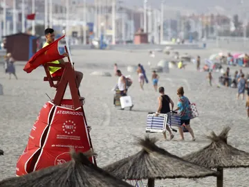 Playas de Cádiz cerradas por la presencia de un tiburón Playas de Cádiz cerradas por la presencia de un tiburón