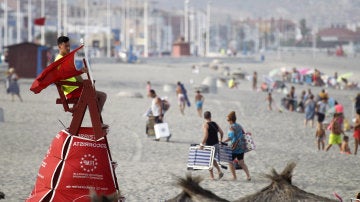 Playas de Cádiz cerradas por la presencia de un tiburón