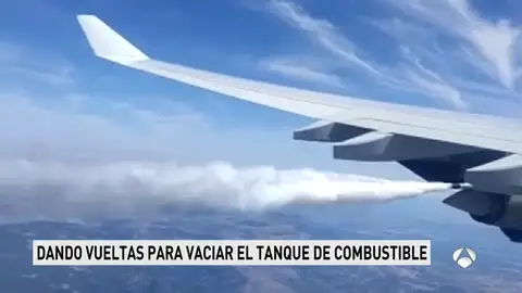 iberia iberia