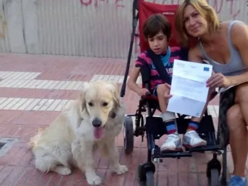 Perro-alerta junto a un paciente con epilepsia Perro-alerta junto a un paciente con epilepsia