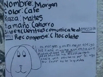 Dibujo de Morgan, el perro perdido Dibujo de Morgan, el perro perdido