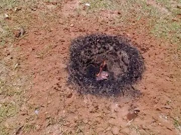 Presunto meteorito encontrado por un estadounidense en su jardín Presunto meteorito encontrado por un estadounidense en su jardín
