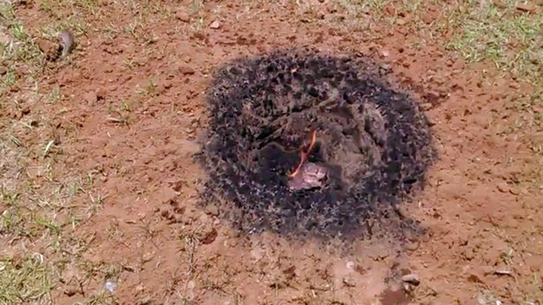 Presunto meteorito encontrado por un estadounidense en su jardín Presunto meteorito encontrado por un estadounidense en su jardín