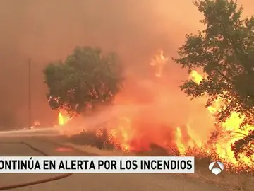 Incendios en Portugal Incendios en Portugal