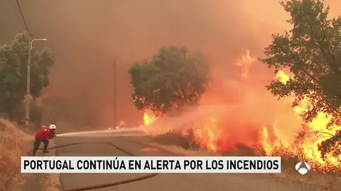Incendios en Portugal Incendios en Portugal