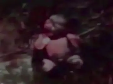 Imagen captada por una de las personas que encontró al bebé Imagen captada por una de las personas que encontró al bebé