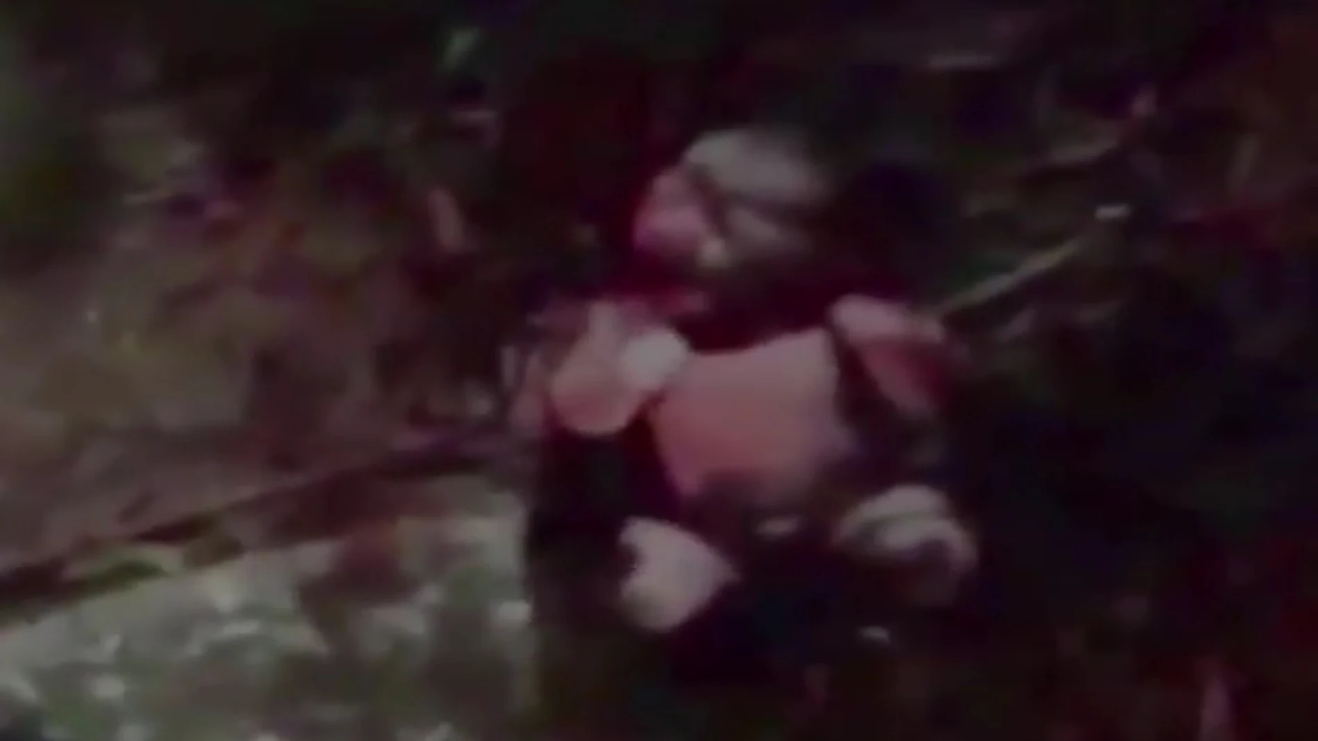 Imagen captada por una de las personas que encontró al bebé Imagen captada por una de las personas que encontró al bebé