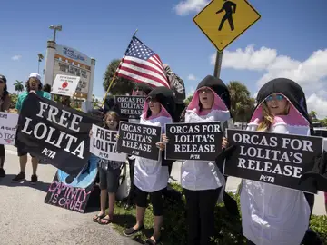 Varios manifestantes protestan junto al Seaquarium de Miami para pedir que liberen a la orca Lolita Varios manifestantes protestan junto al Seaquarium de Miami para pedir que liberen a la orca Lolita
