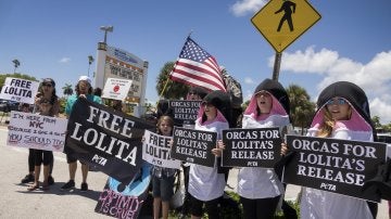 Varios manifestantes protestan junto al Seaquarium de Miami para pedir que liberen a la orca Lolita