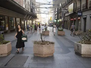 Maceteros en Madrid Maceteros en Madrid