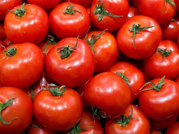 Tomates, imagen de archivo Tomates, imagen de archivo