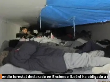 INMIGRANTES CONGELADOS INMIGRANTES CONGELADOS