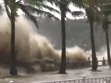 Tifón Hato deja tres muertos en Macao y numerosas inundaciones en Hong Kong Tifón Hato deja tres muertos en Macao y numerosas inundaciones en Hong Kong