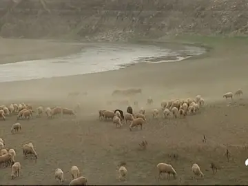 PANTANOS SECOS PANTANOS SECOS