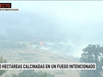 INCENDIOS