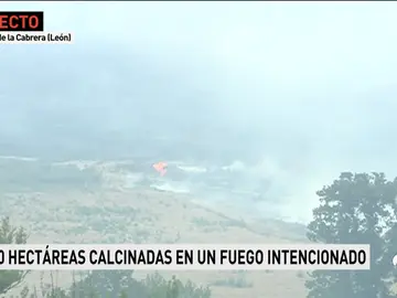 INCENDIOS INCENDIOS