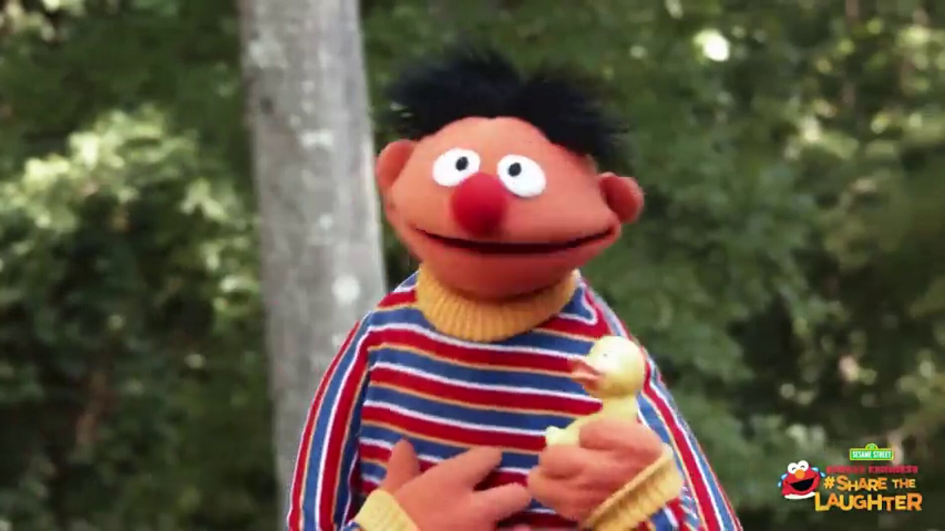 "El Patito" la nueva parodia de "Despacito" que canta 'Barrio Sésamo'