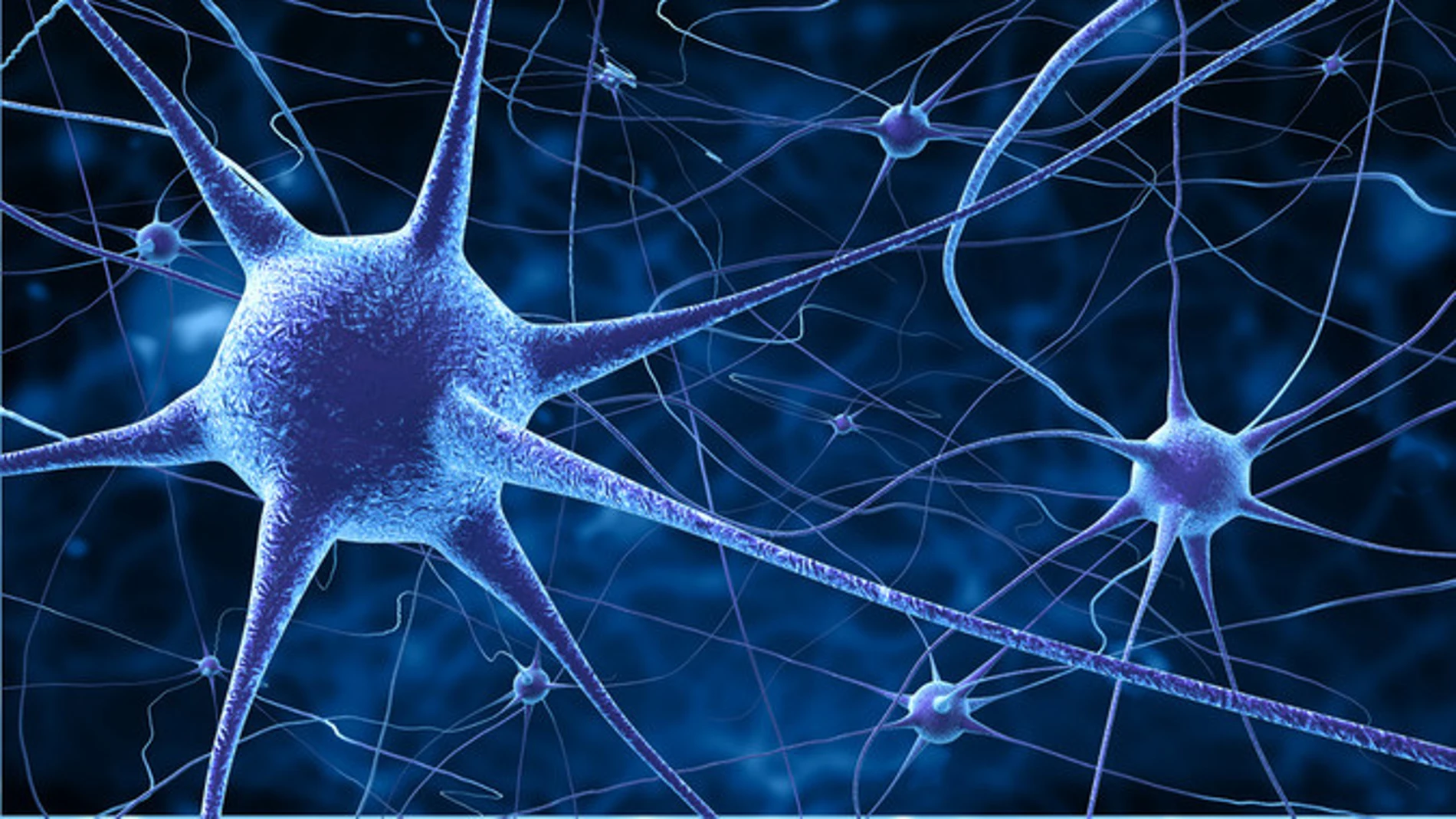El grupo de neuronas que detecta la musica de las palabras El grupo de neuronas que detecta la musica de las palabras