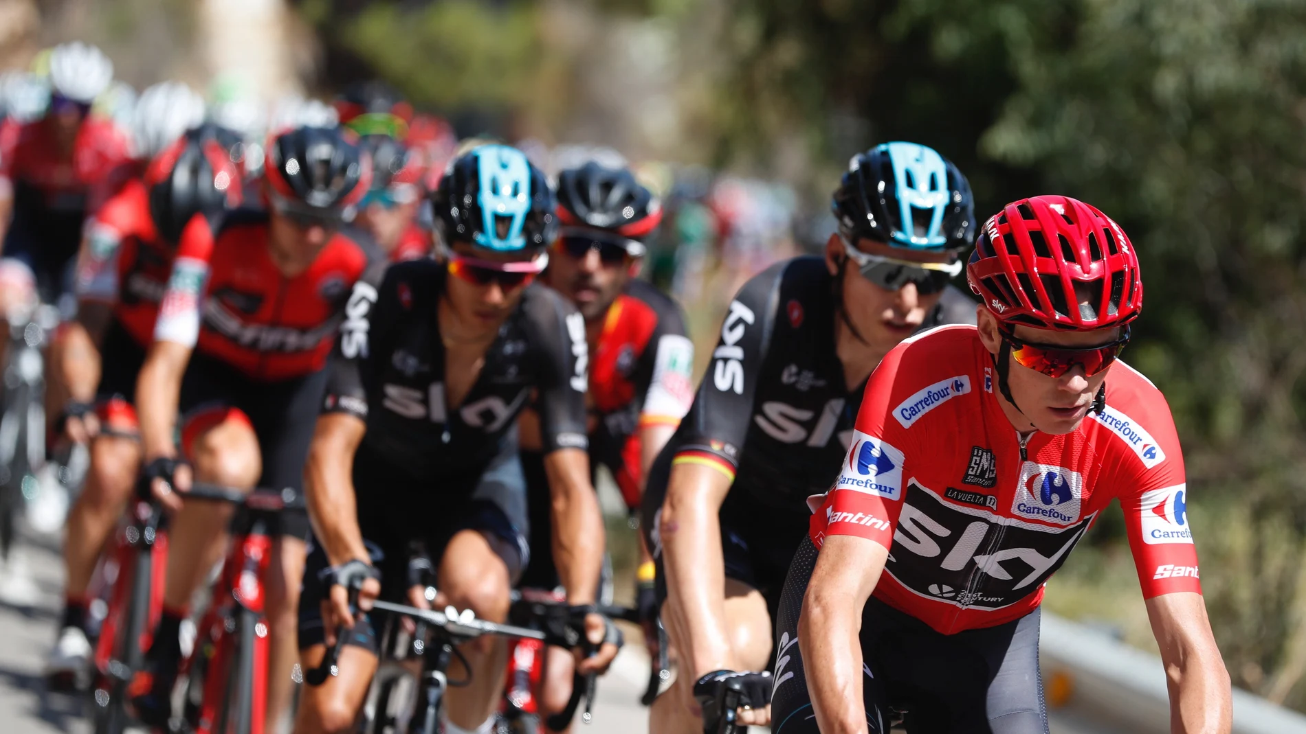 Grupo de ciclistas durante una etapa de la Vuelta a España Grupo de ciclistas durante una etapa de la Vuelta a España