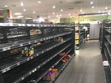 Imagen de un supermercado Edeka con las estanter&iacute;as vac&iacute;as