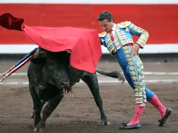 TOROS TOROS