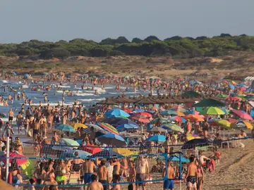Imagen de una de las playas de Los Arenales del Sol Imagen de una de las playas de Los Arenales del Sol