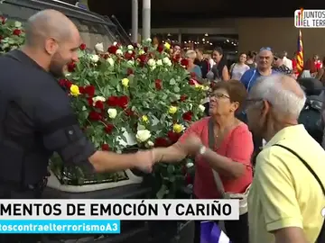 floresmossos floresmossos