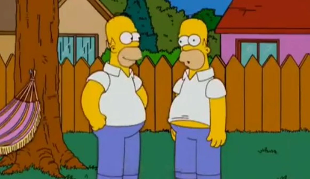 Homer Simpson y su doble