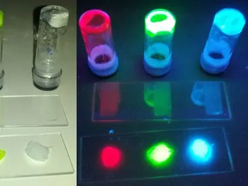 Bombillas compuestas por proteínas luminiscentes Bombillas compuestas por proteínas luminiscentes