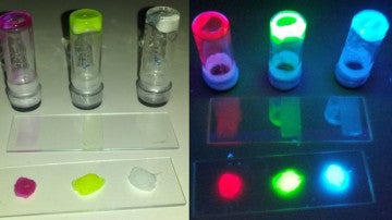 Bombillas compuestas por proteínas luminiscentes 