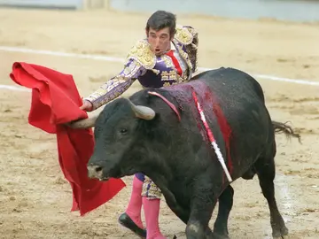 Dámaso González durante una de sus faenas en una imagen de archivo Dámaso González durante una de sus faenas en una imagen de archivo