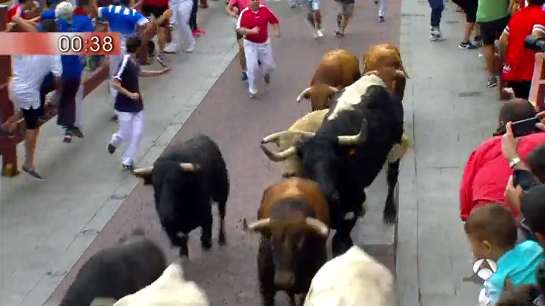 Encierros San Sebastián de los Reyes Encierros San Sebastián de los Reyes